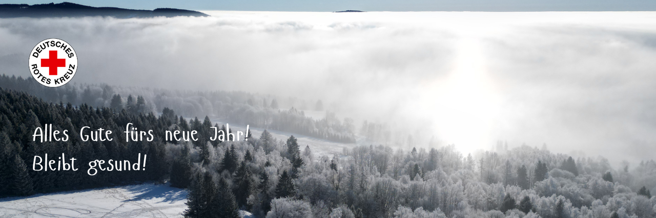 Drohnenaufnahme einer Winterlandschaft mit verschneitem Wald