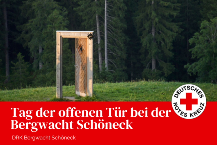 Wald, davor grüne Wiese und eine Holztür welche offen ist. Es steht nur der Türrahmen mit der Tür in der Wiese.