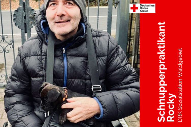 Mensch mit Rocky, einer französischen Bulldoge