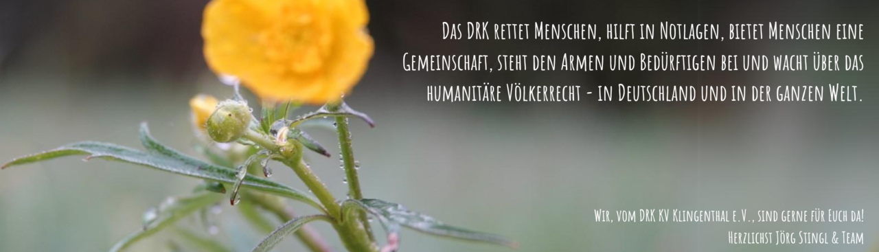 Das DRK rettet Menschen, hilft in Notlagen, bietet Menschen eine Gemeinschaft, steht den Armen und Bedürftigen bei und wacht über das humanitäre Völkerrecht - in Deutschland und in der ganzen Welt. Wir, vom DRK KV Klingenthal e.V., sind gerne für Euch da! Herzlichst, Jörg Stingl & Team